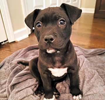 Photo of Jet