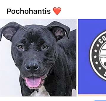 Photo of POCAHONTAS