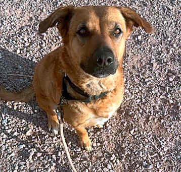 Photo of LUNA