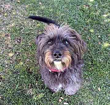 Photo of OLIVE