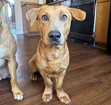 Photo of Tater