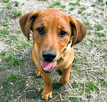 Photo of Taco