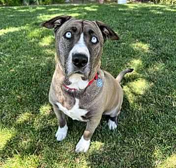 Photo of Kiki Cupcake