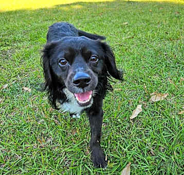 Photo of Axle