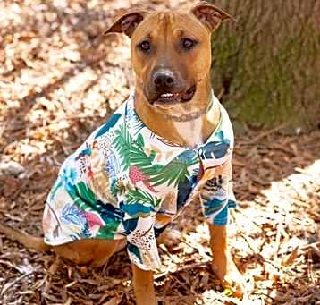Photo of Sammy