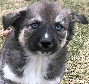 Photo of Dottie