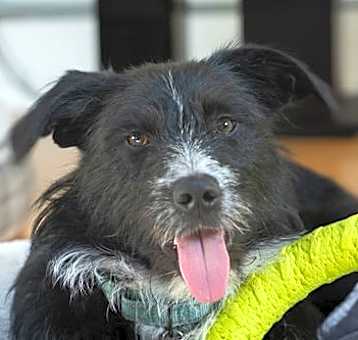 Photo of Evie
