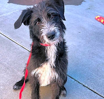 Photo of Eddie