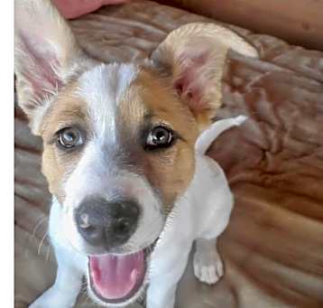 Photo of Aloha