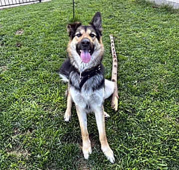 Photo of Sweetie
