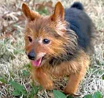 Photo of Maverick