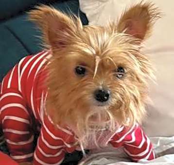 Photo of Mae Mae