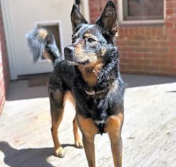 Photo of Zara