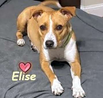 Photo of Elise