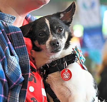 Photo of Spot PVD *LOCAL*