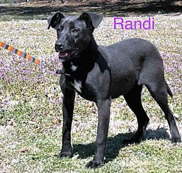 Photo of Randi