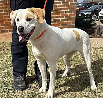 Photo of Daisy
