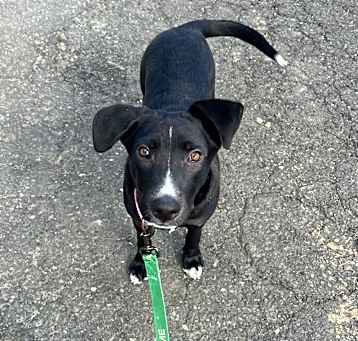 Photo of Genny ~ meet me!