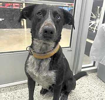 Photo of Maisey