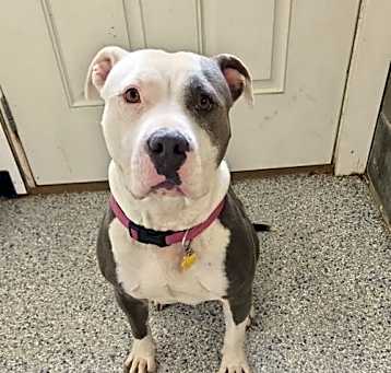 Photo of Kiki
