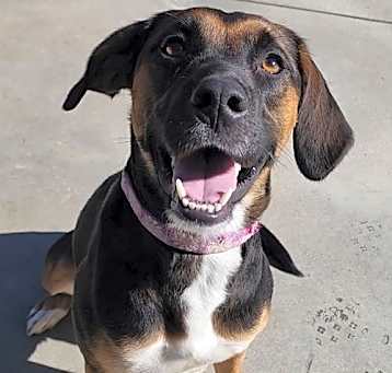 Photo of Daisy Mae