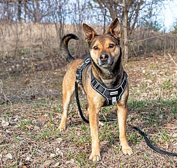 Photo of Max