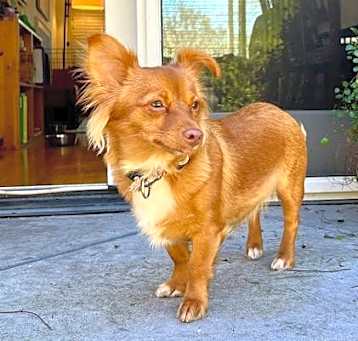 Photo of Lola