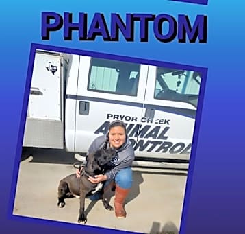 Photo of Phantom # 9994