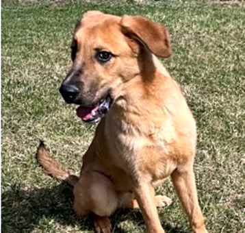 Photo of BAM BAM THE ENERGETIC