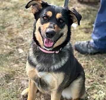 Photo of Ruby