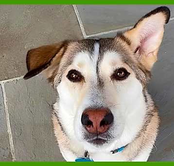 Photo of Kippa