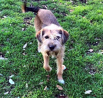 Photo of Abby