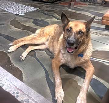 Photo of Levi