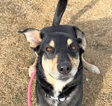Photo of Zula