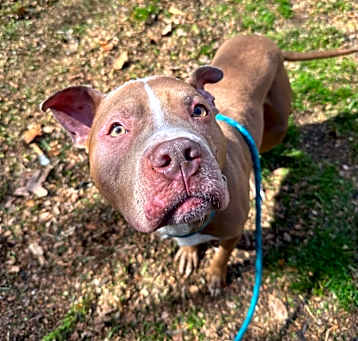 Photo of Zeus