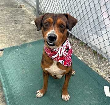 Photo of Frito