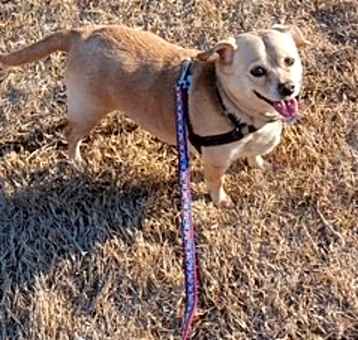 Photo of Abby