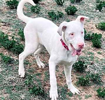 Photo of Flora -