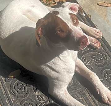 Photo of Missy