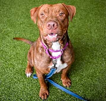 Photo of Gozer