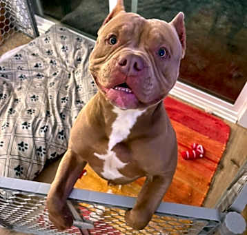 Photo of Ozzie