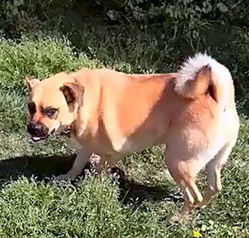 Photo of coco
