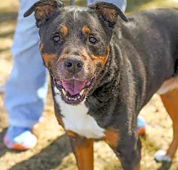 Photo of LEROY