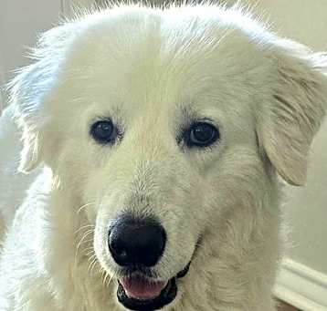 Photo of Oakley