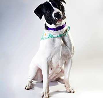 Photo of Zadie