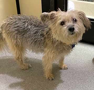 Photo of Maggie - *Avail by appointment* Claremont Location