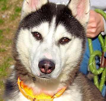Photo of Kiko