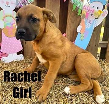 Photo of Rachel
