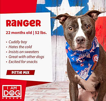 Photo of Ranger
