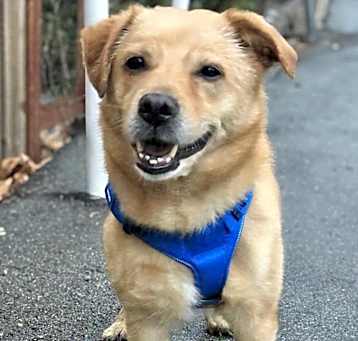 Photo of Apollo